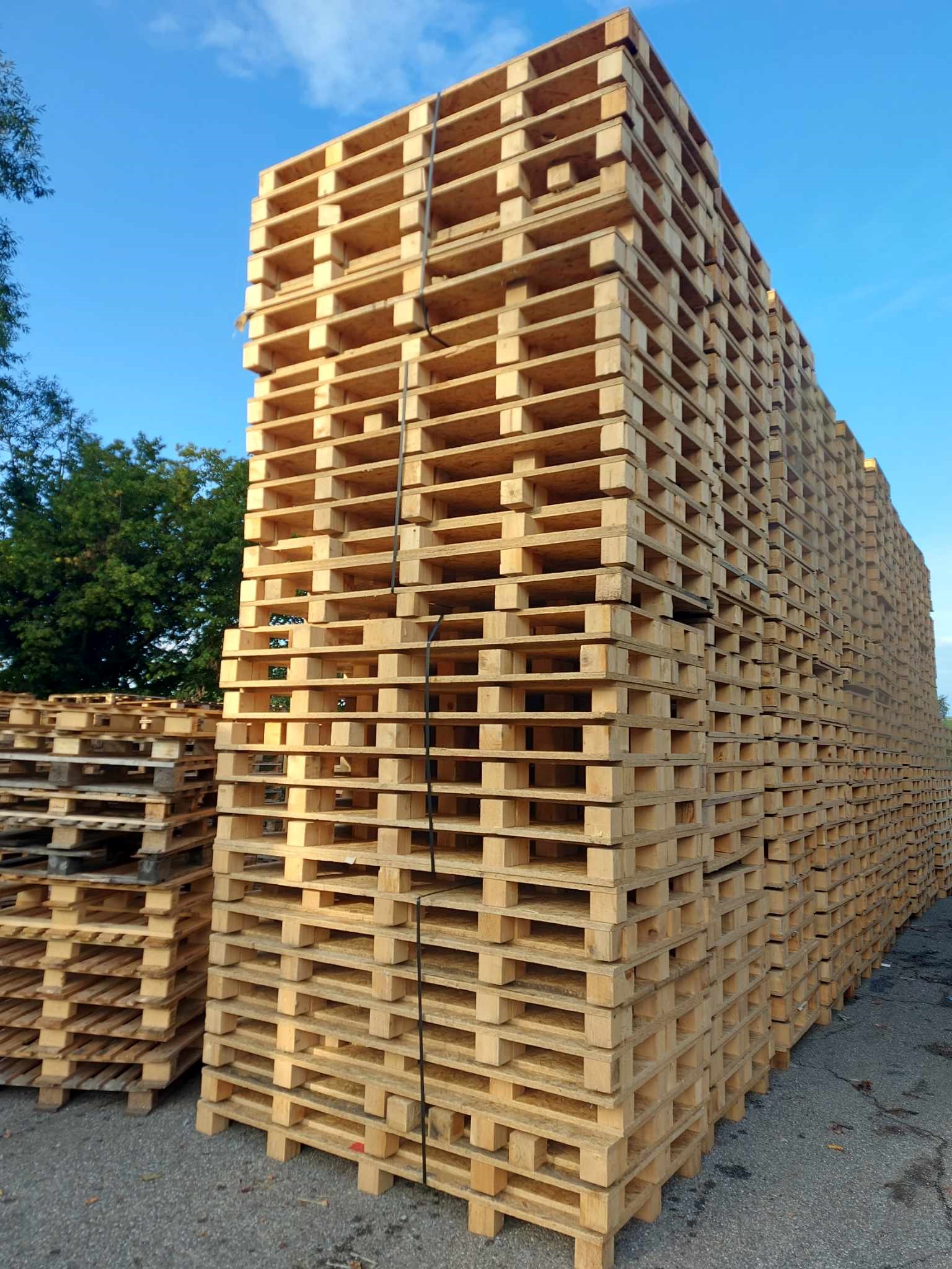 You are currently viewing VENTES PALETTES : OSB PALETTES 1000X2000
